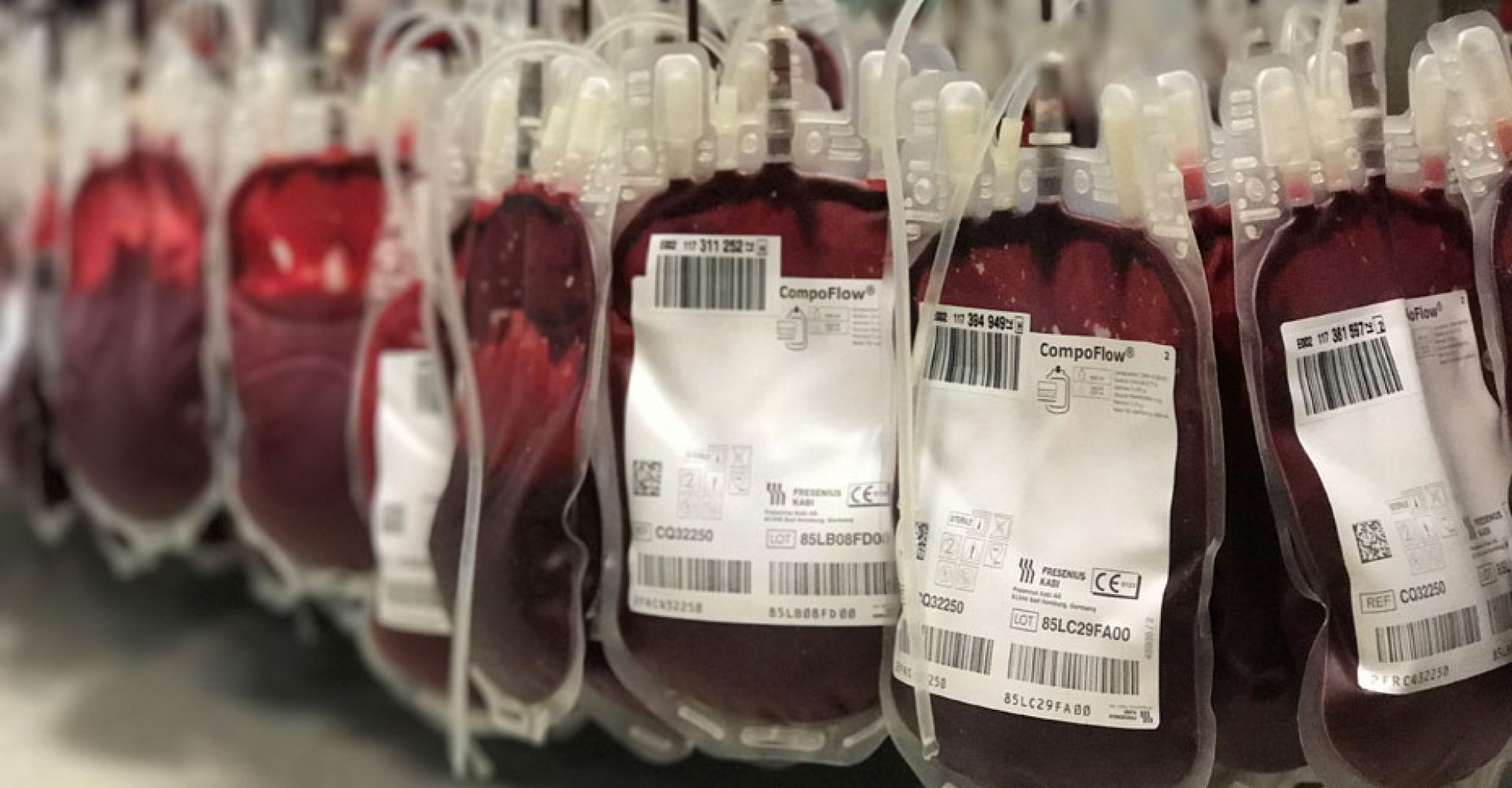 1520337635595donarsangreestandar