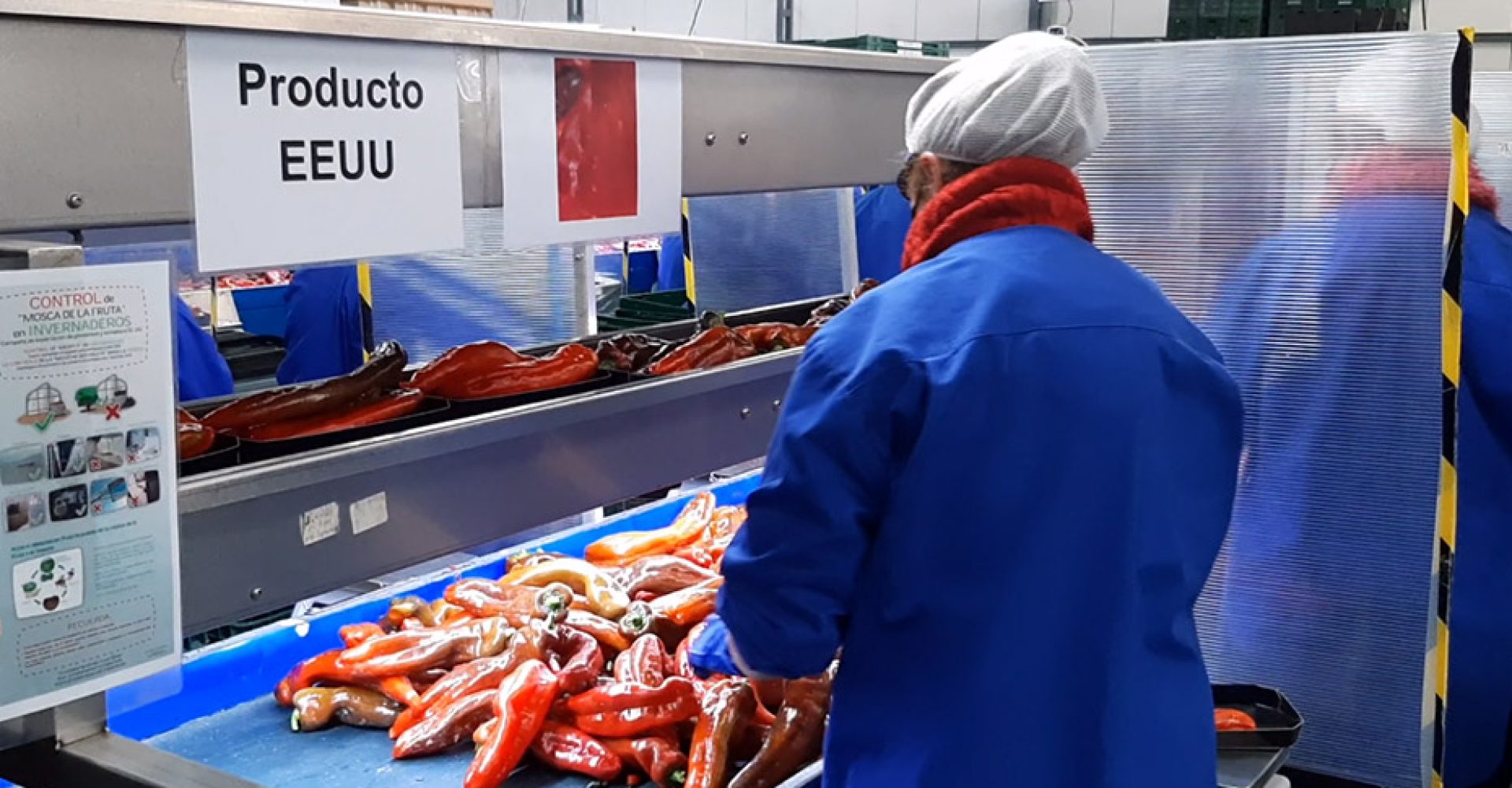 1611831774948agralimentario6