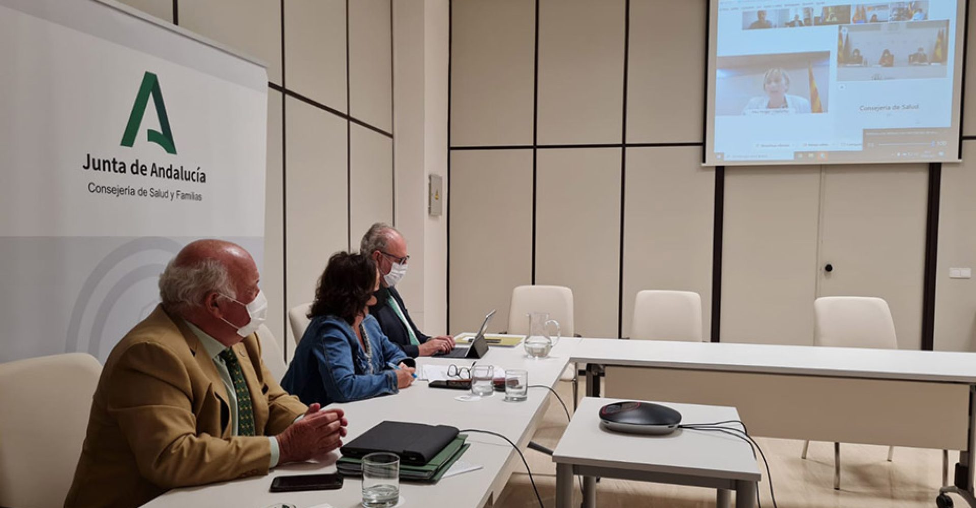 1621448773323interterritorialsaludEst