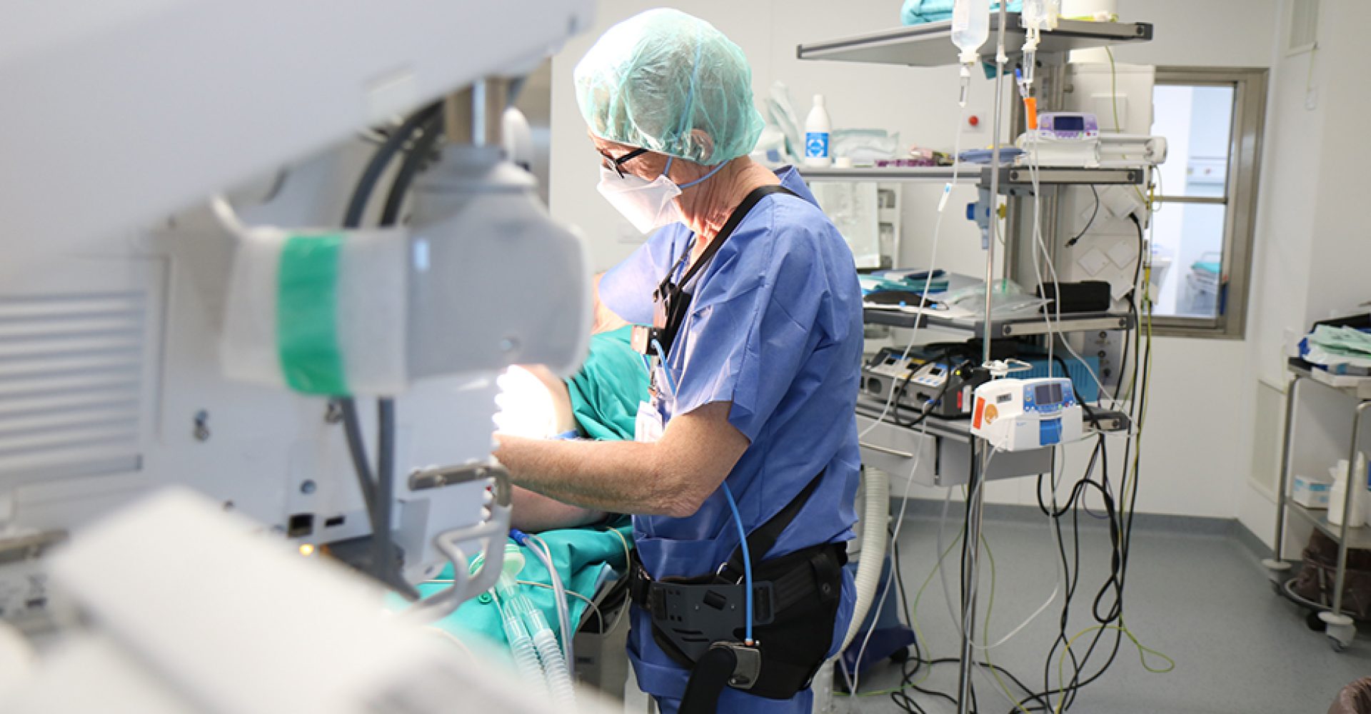 1644494708416exoesqueletoEstdn