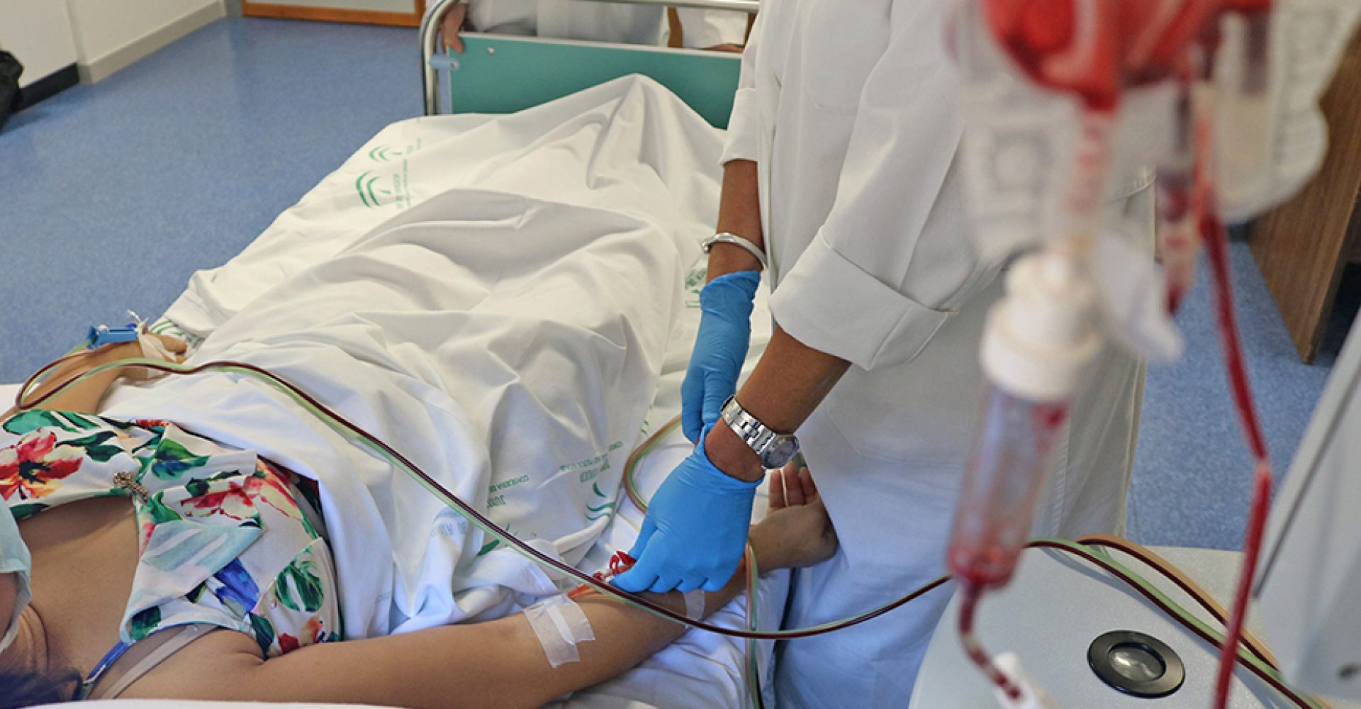 1726837225507DonanteMedula_Estandar