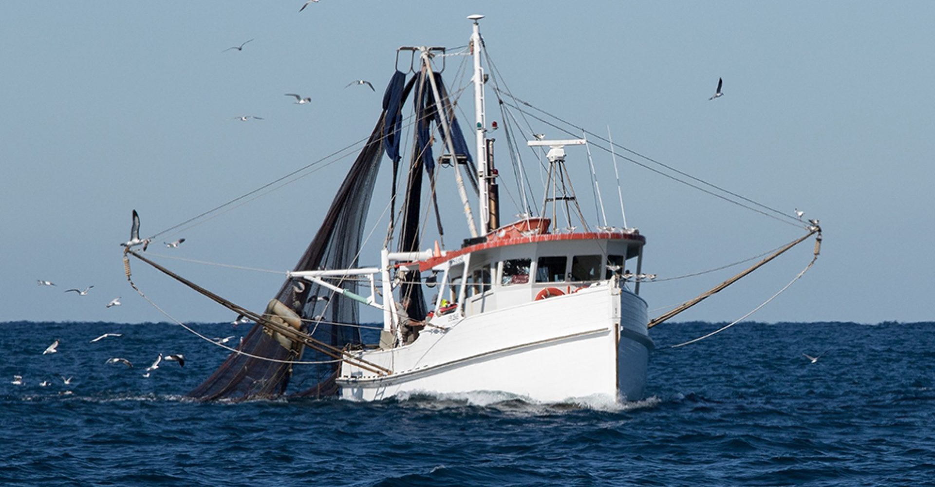 1727866647271FlotaGolfoCadizest