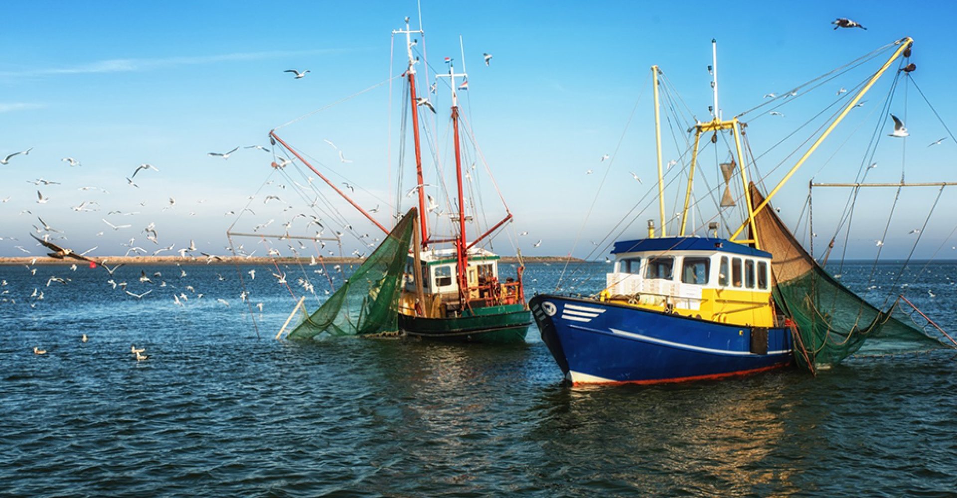 1728039696645flotaandaluzaestdn