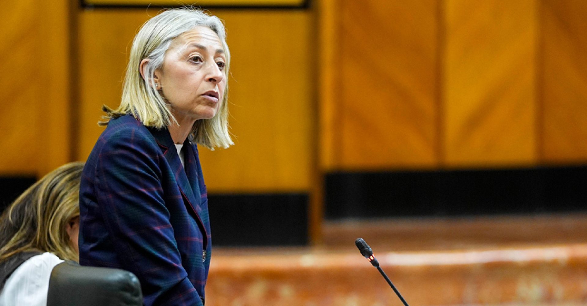 1738844827903RHParlamento_Est