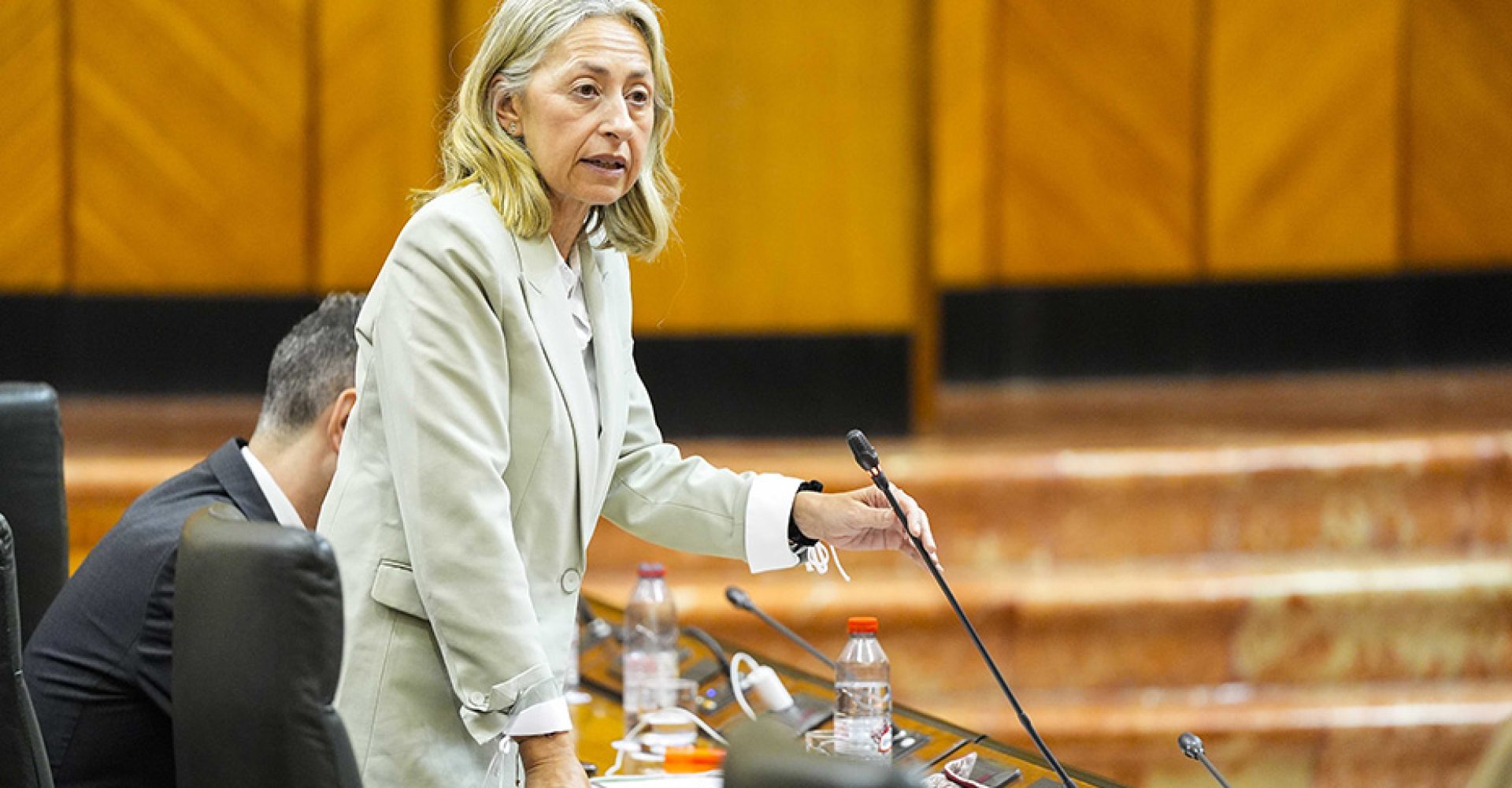 1745496264769hernandezParlaEst