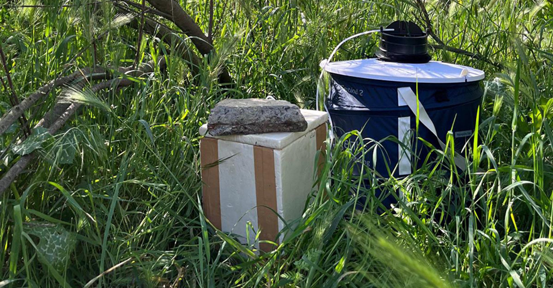 1746604183661TrampasVNO_Estandar