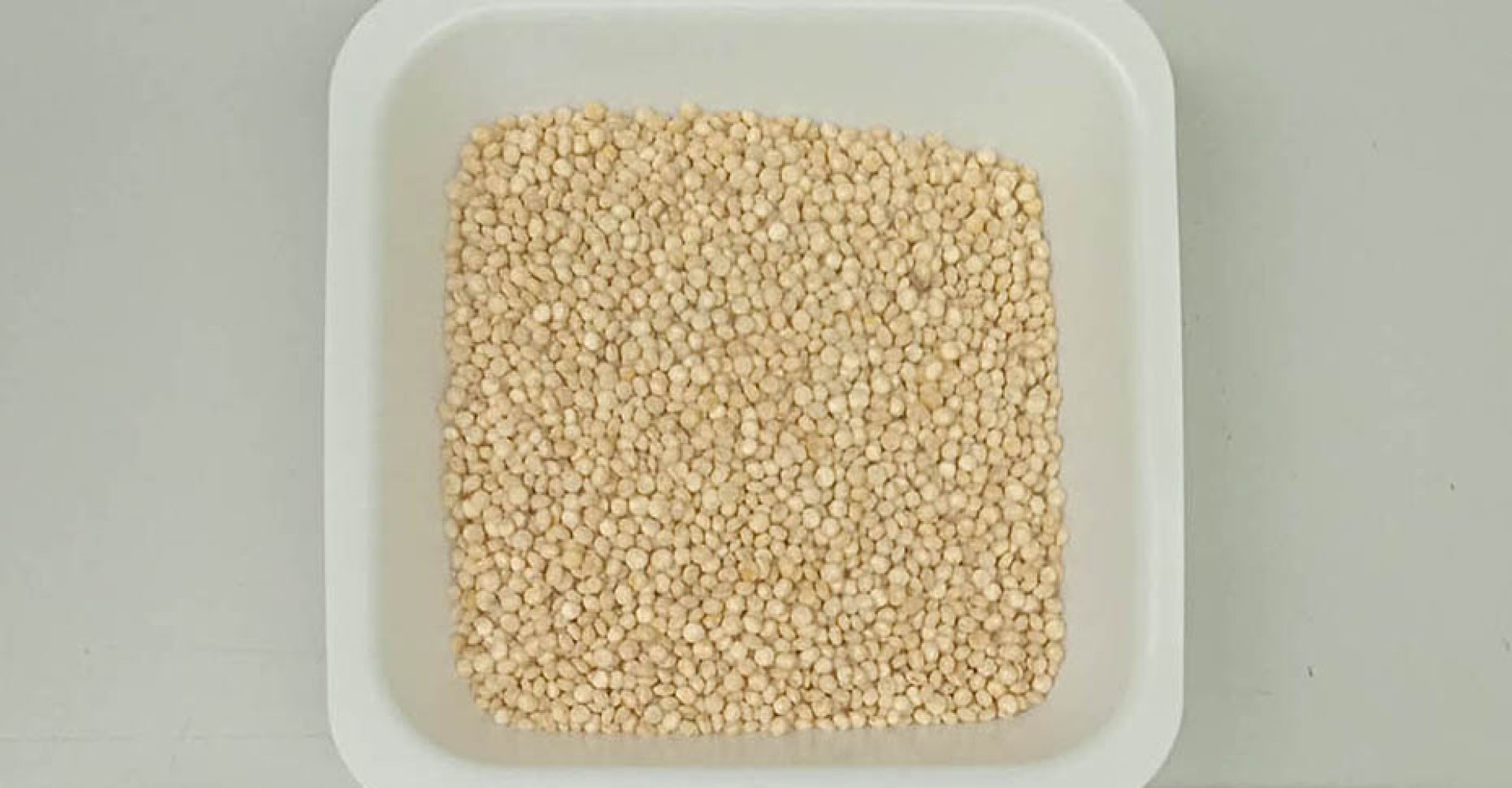 1753208697293SemillasQuinoa_Est