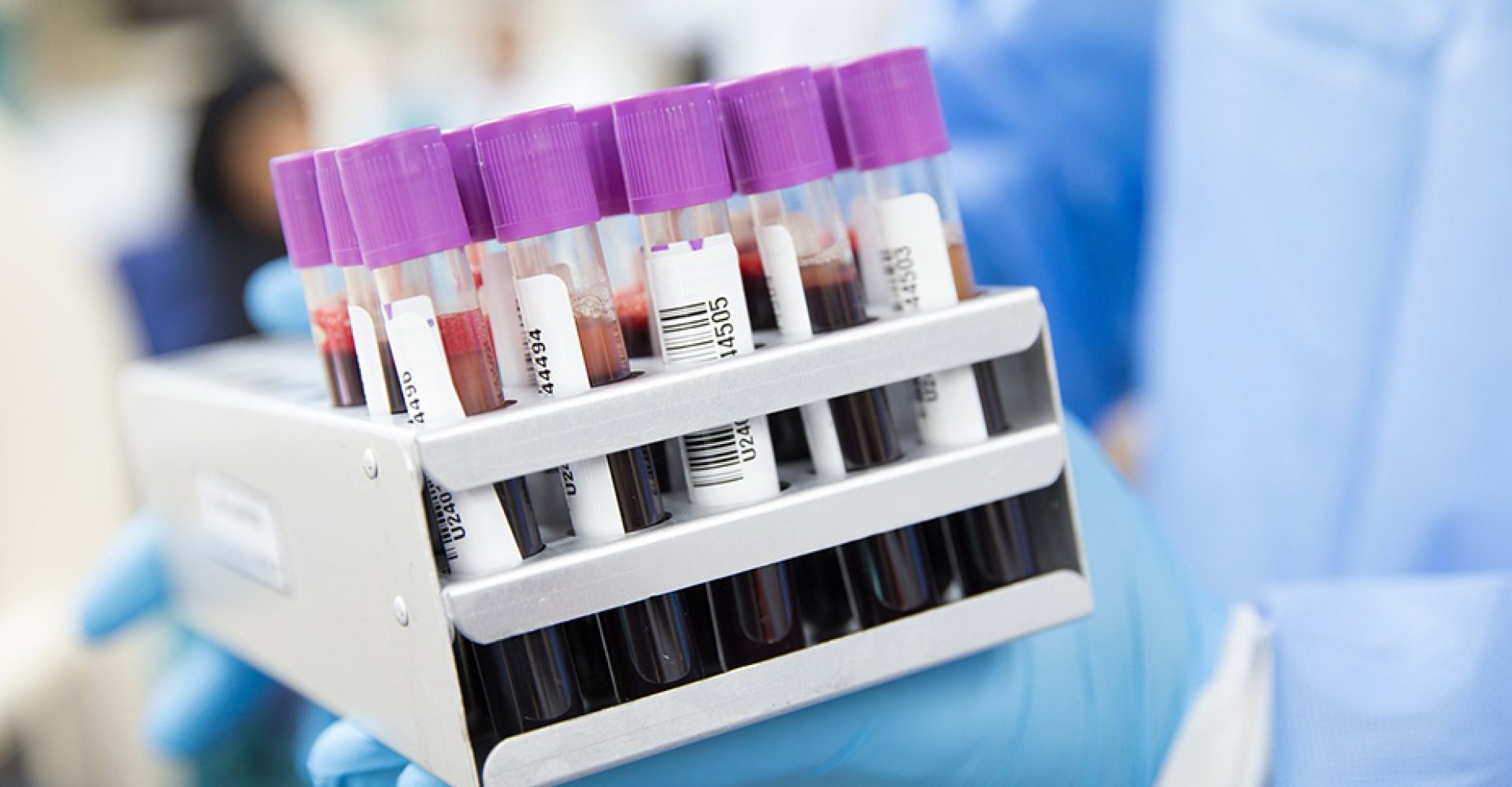 1766748155214donacionsangrest