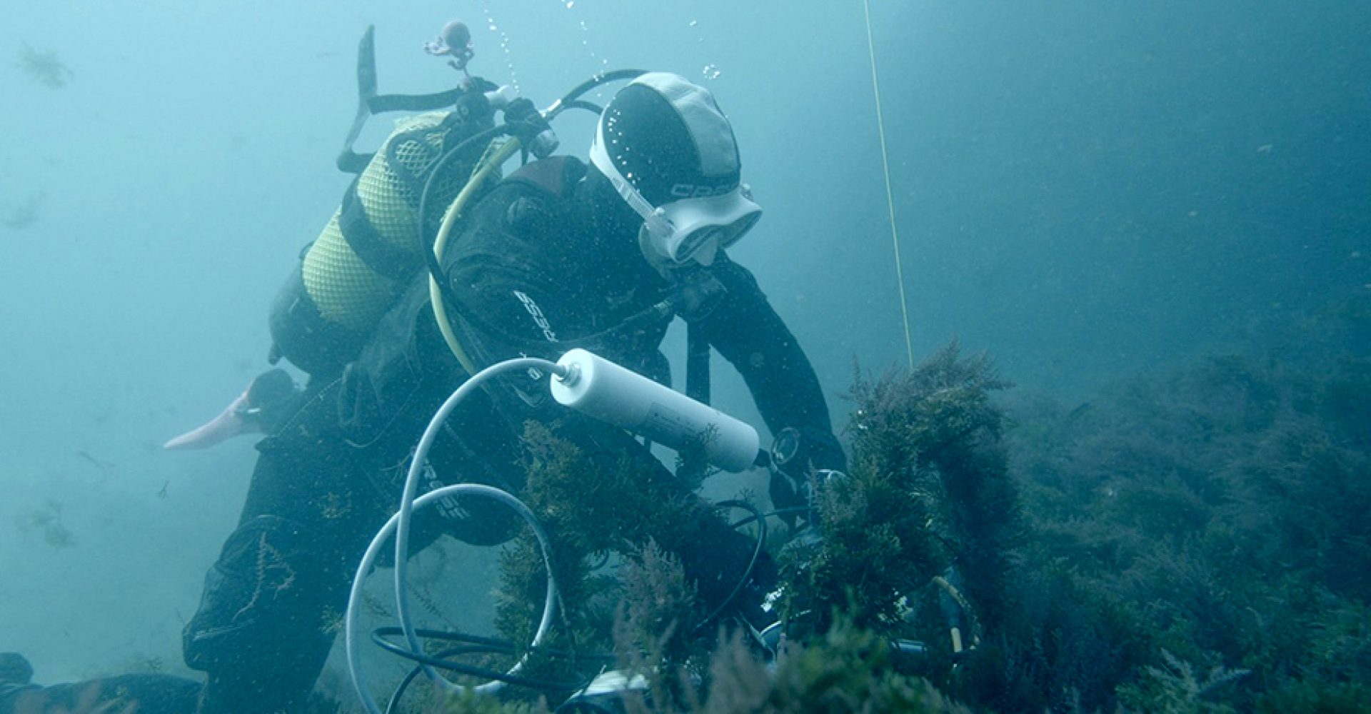 1774960347006delfinestrechoest