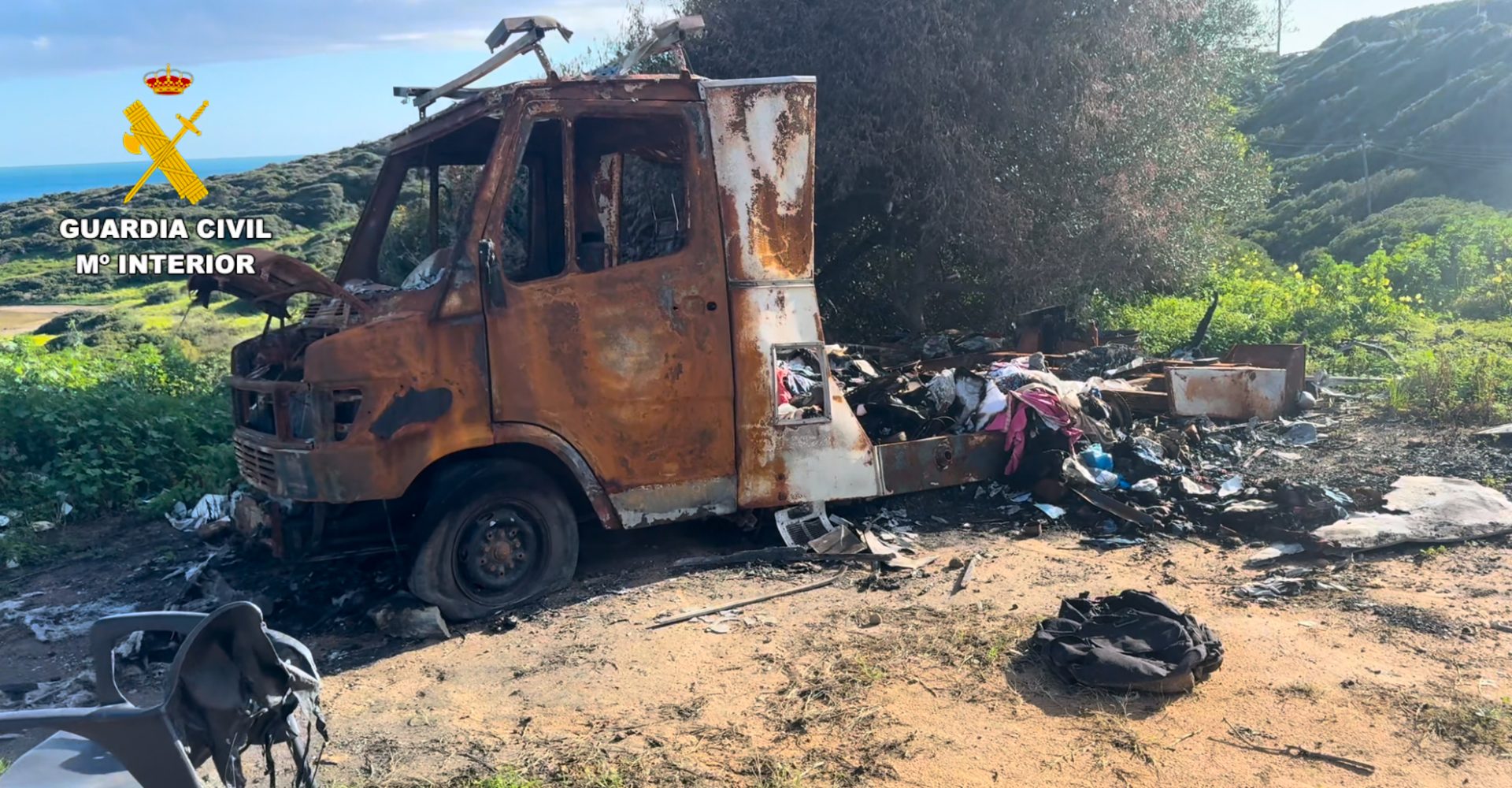 2025-01-29_OP_IGNIS_01