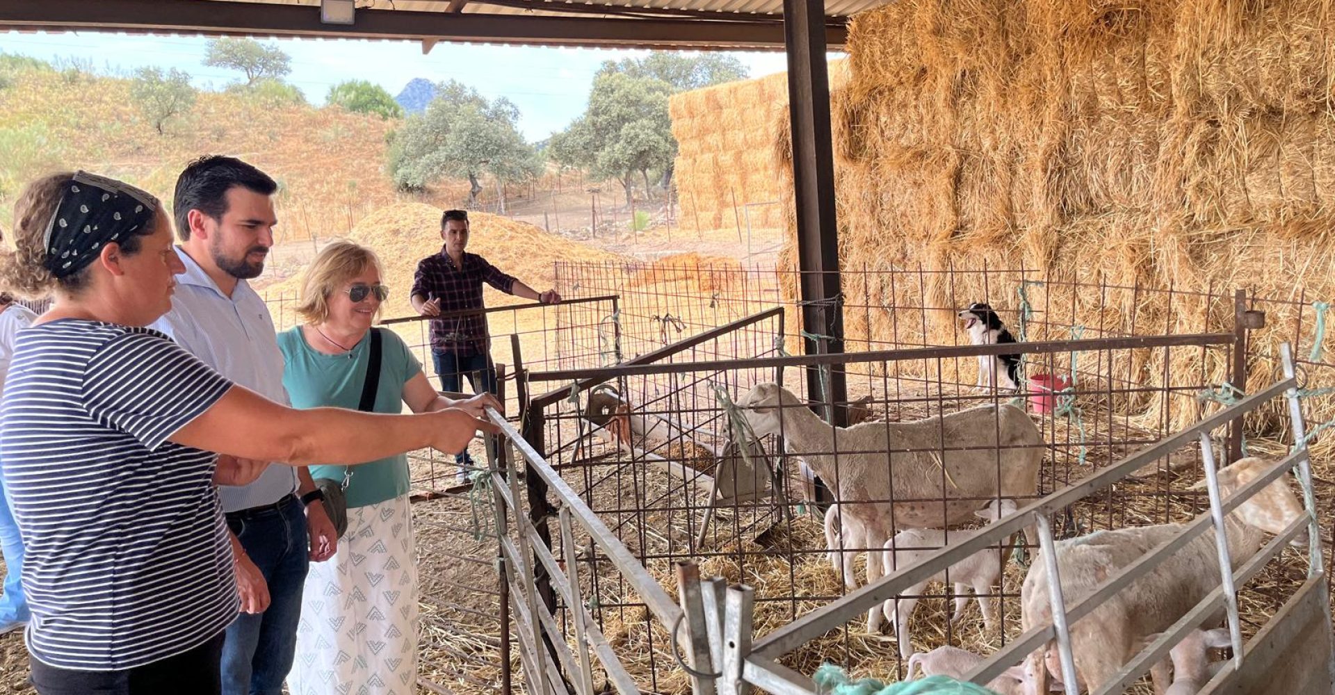 240719 Jóvenes Algodonales 2