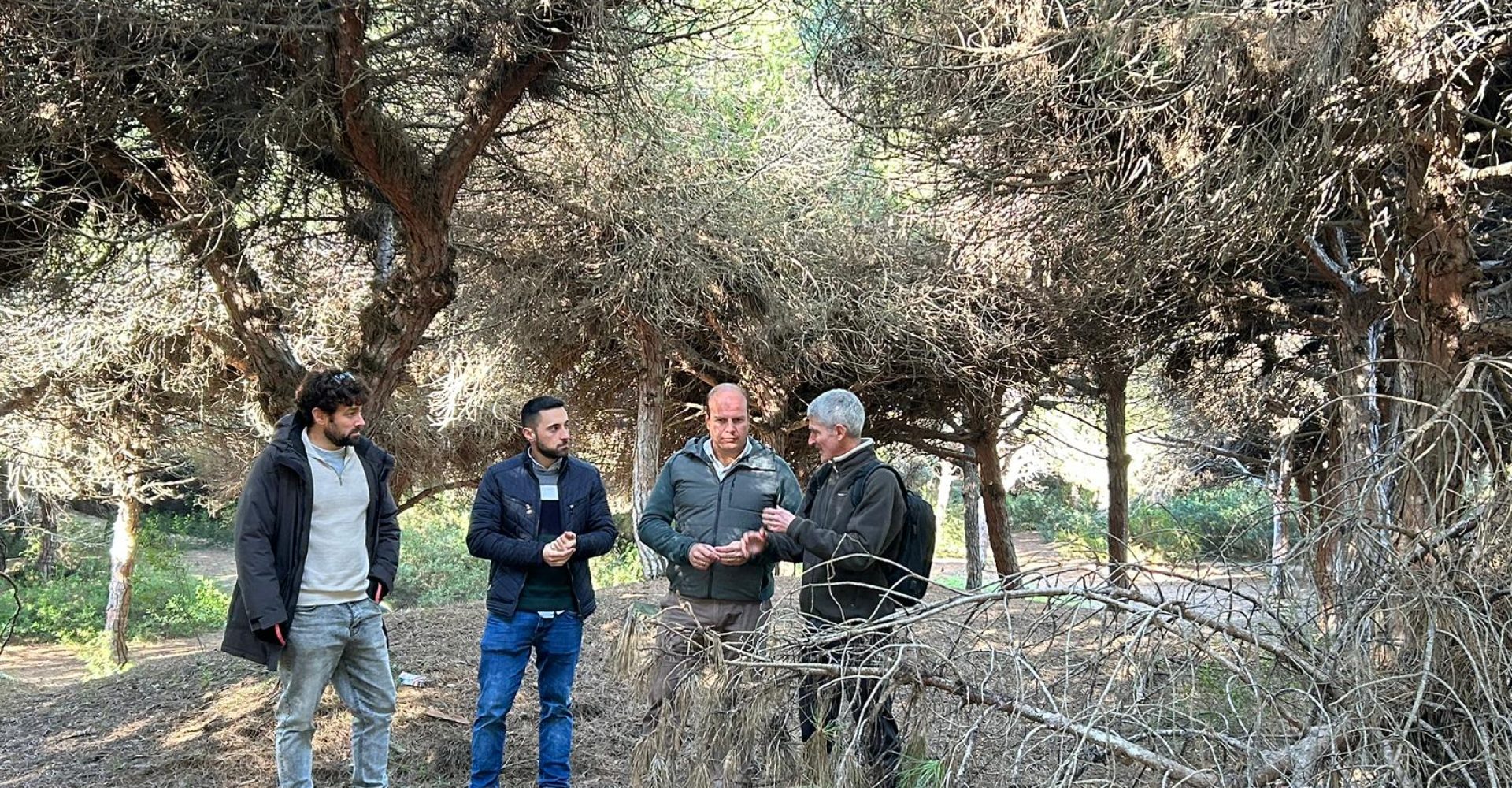 250205 Pinares Rota 3