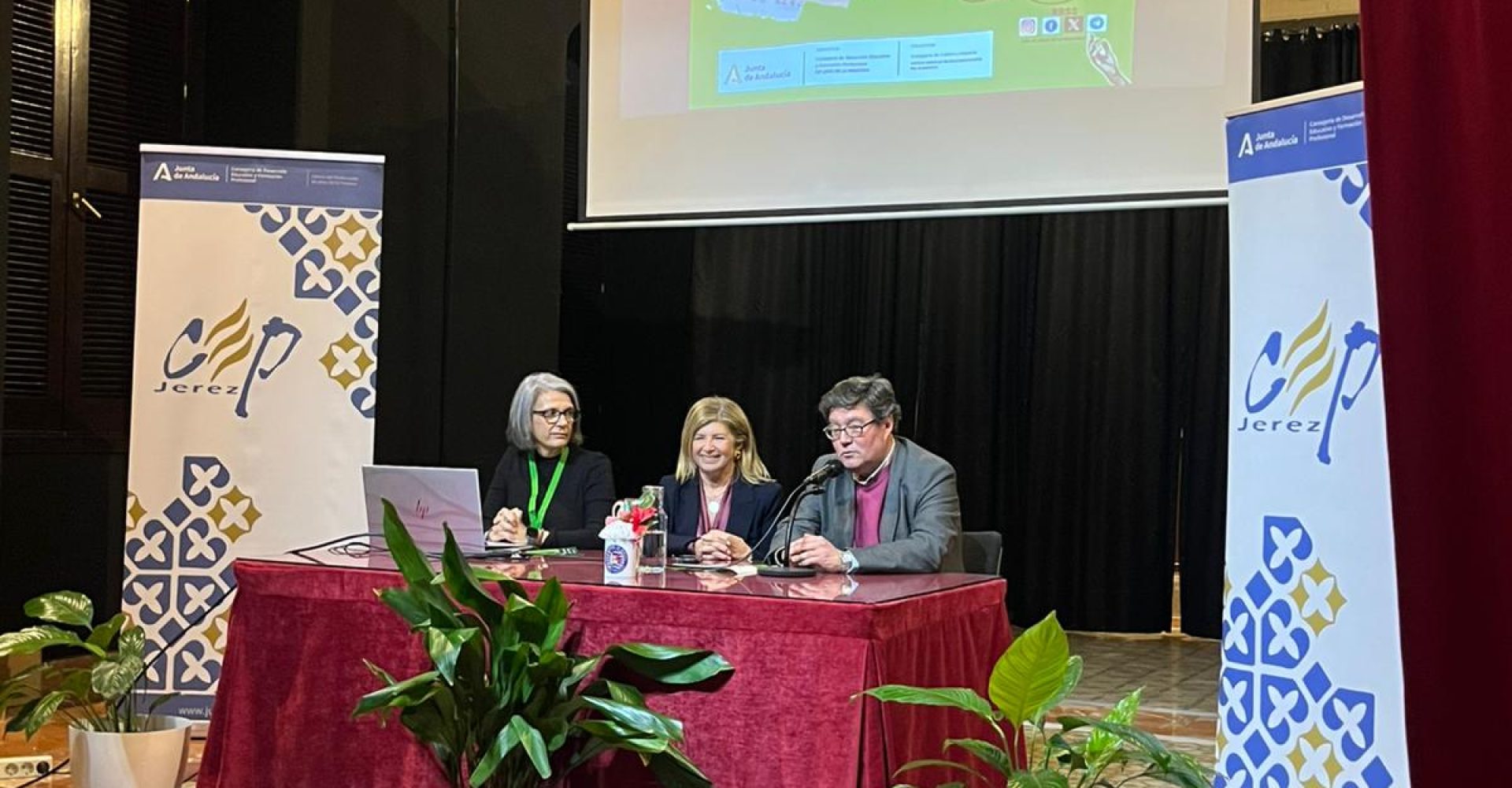 250212 Flamenco CEP 1