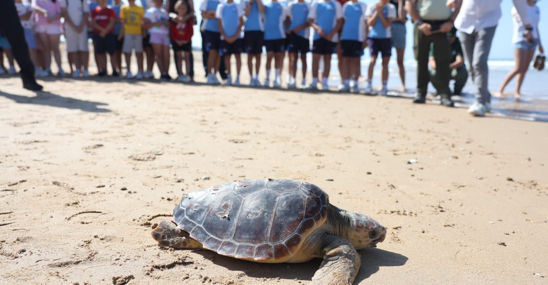 250605_CG Día Mundial del Medio Ambiente_Suelta de tortugas Rota (3)