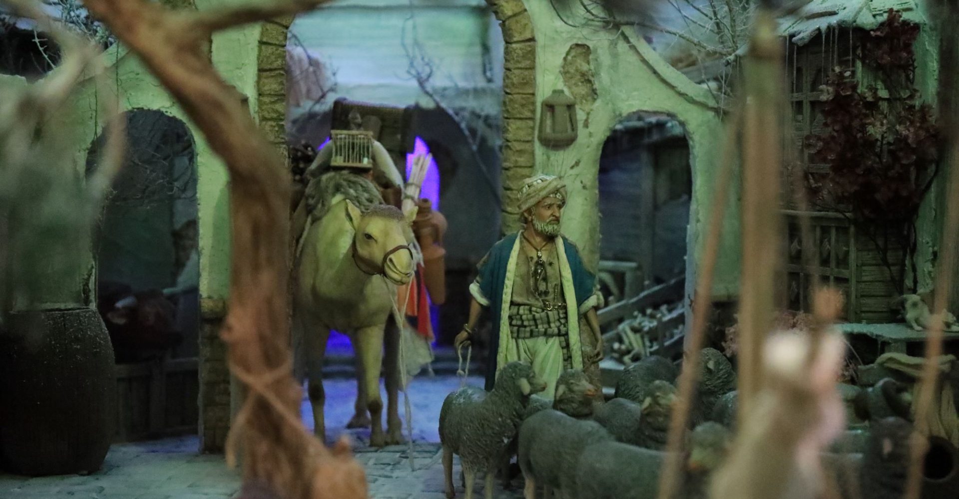 BelénMOdalidadParticular1