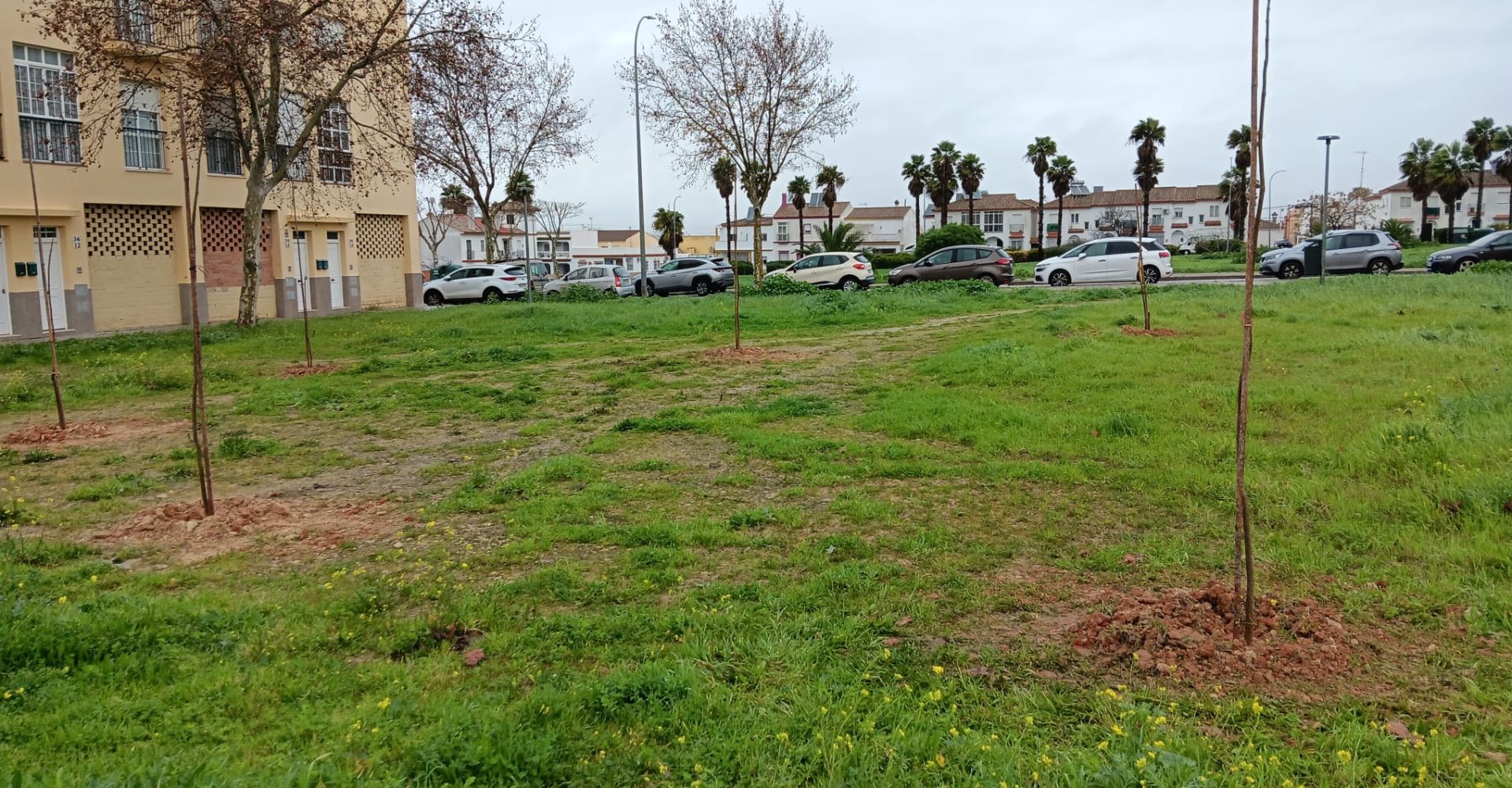 CATALPAS EN OCTAVIO PAZ