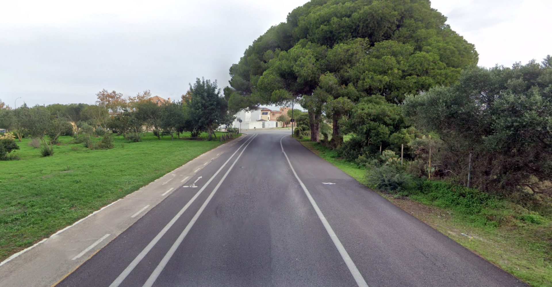 Camino Juan Antonio Campuzano