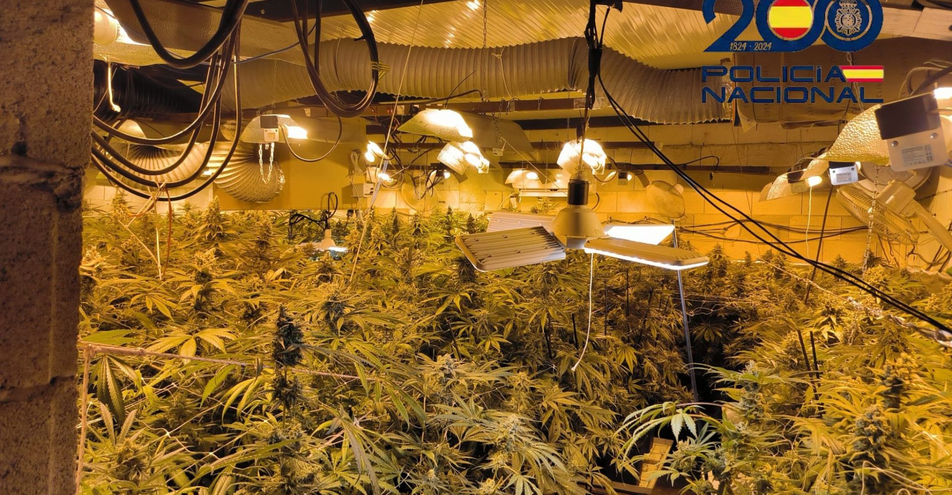 Diseño sin título (1)