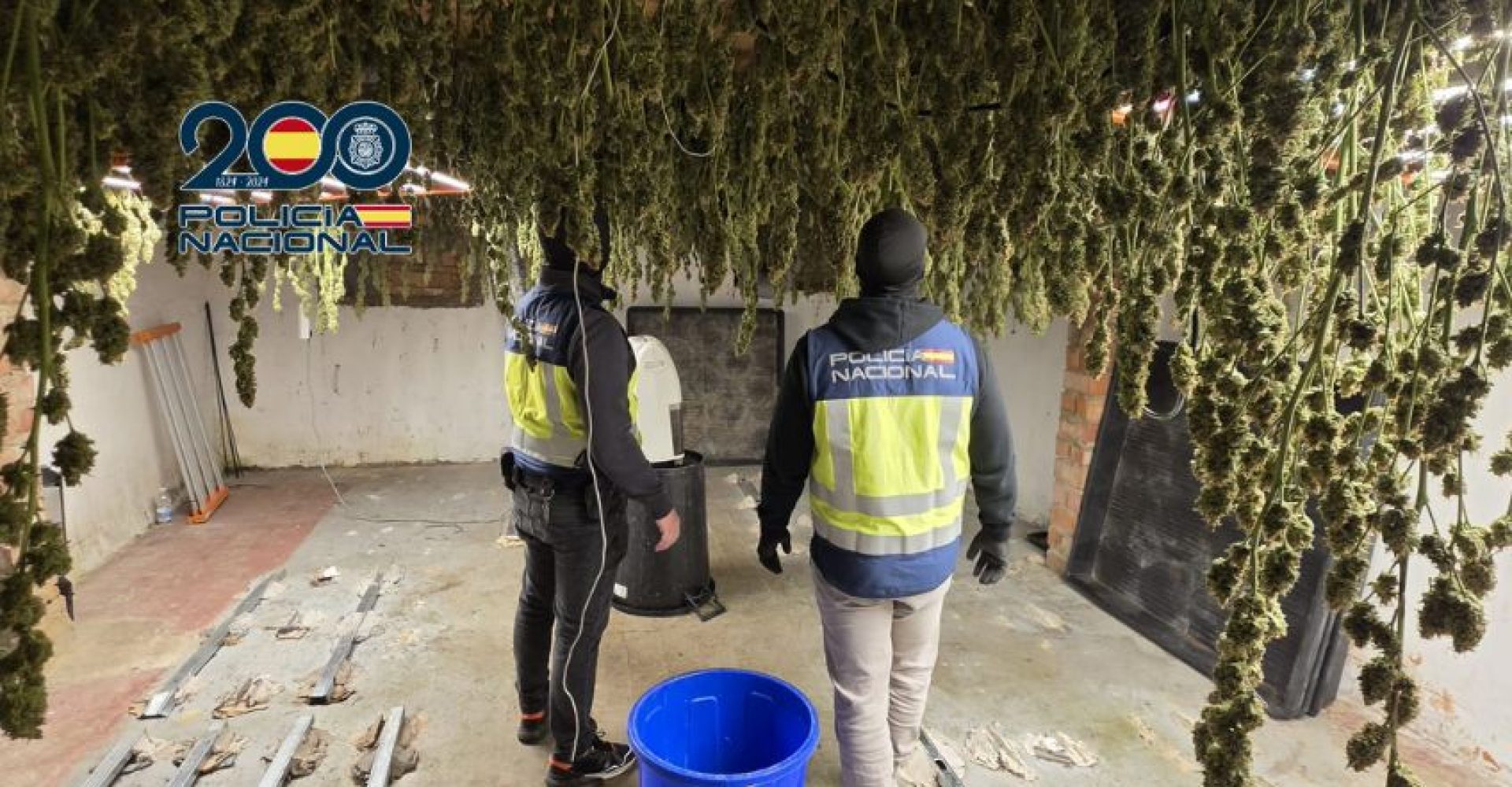 Diseño sin título (10)