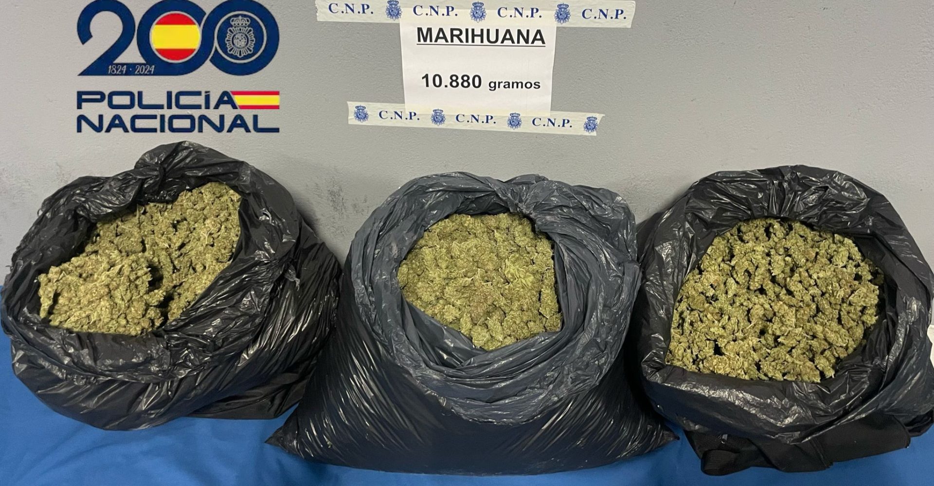 Diseño sin título (2) (1)