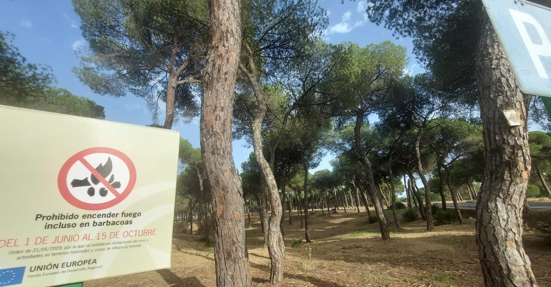 EMA BARBACOAS 310525