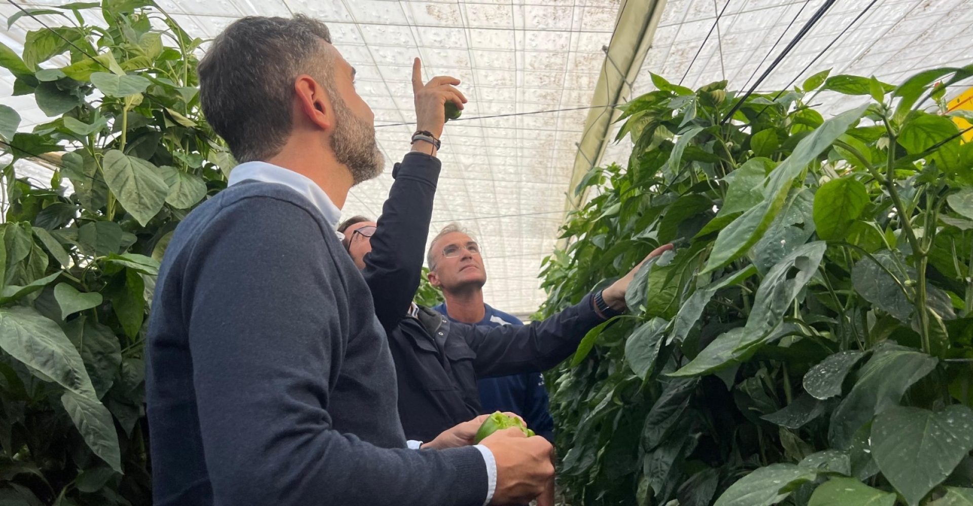 El consejero visita invernaderos de El Ejido tras la DANA.