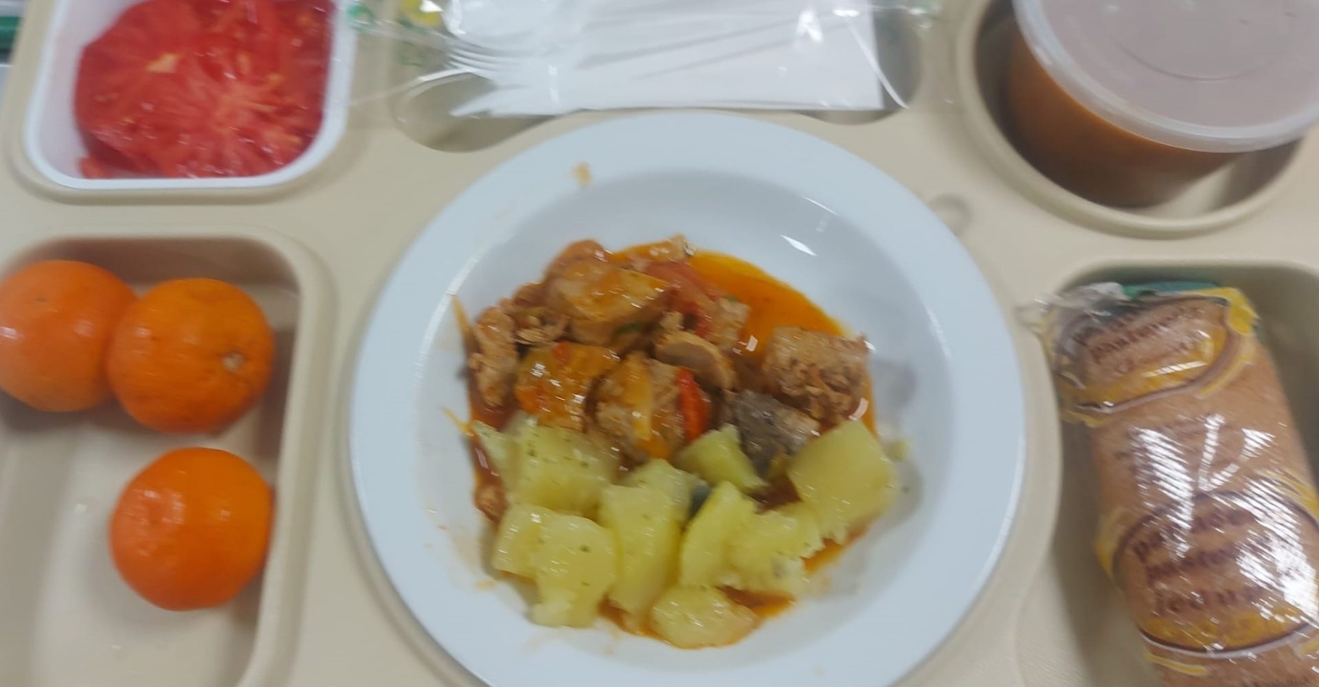 FOTO BANDEJA