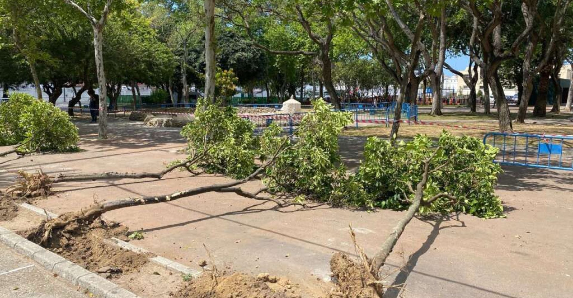 Imagen de WhatsApp 2025-05-20 a las 19.55.03_3987265e