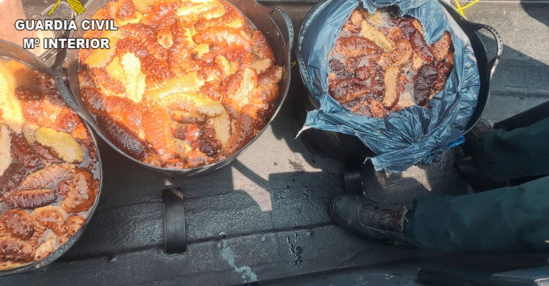 Imagen de WhatsApp 2025-05-23 a las 10.43.02_48ff48a7