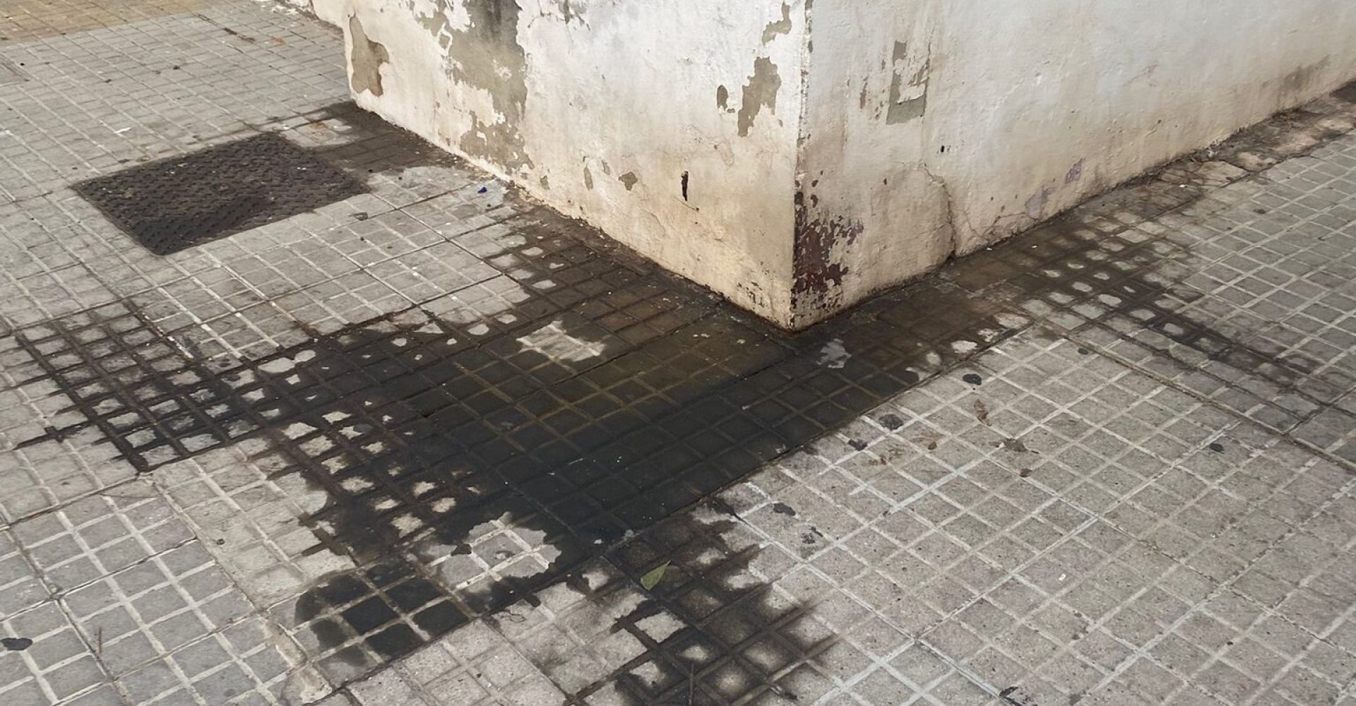 Imagen de WhatsApp 2025-09-26 a las 18.51.35_f9e98b74