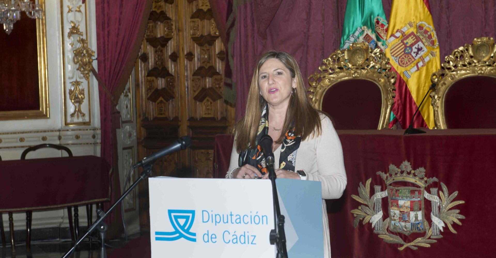 Irene García presenta los planes de inversión para 2021