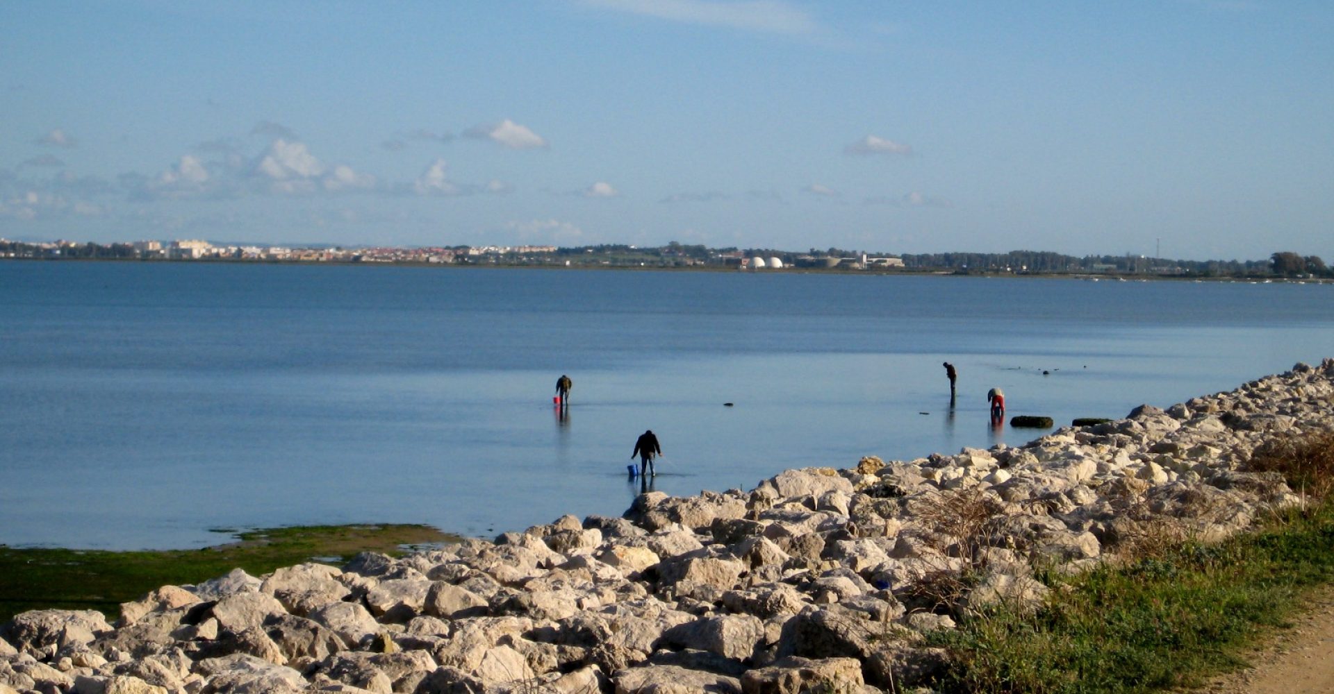 Marisqueo