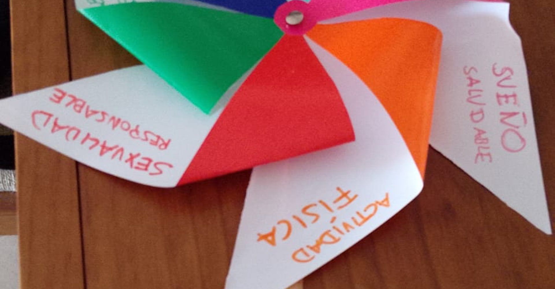 Molinillo Estrategia Vida Saludable