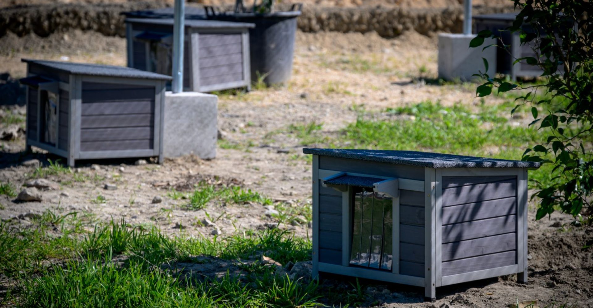 PHOTO-2026-02-24-17-19-30