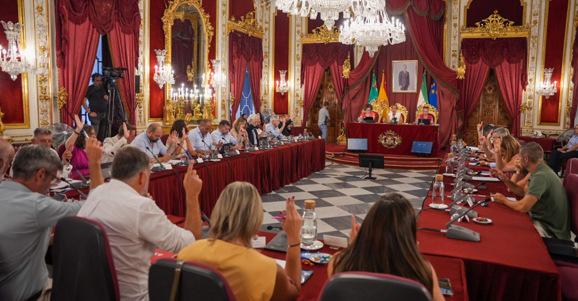 Pleno de Diputacion del 30 de julio de 2025