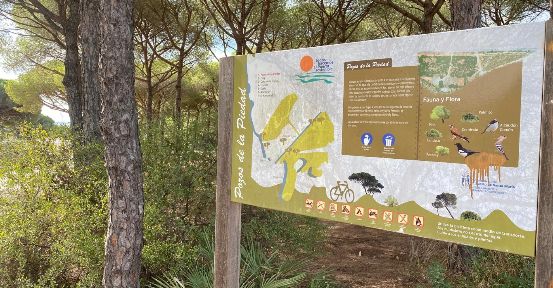 Pozos de la Piedad 1