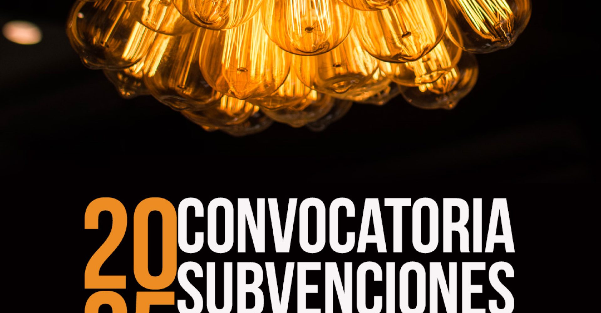Subvenciones2025-cartel