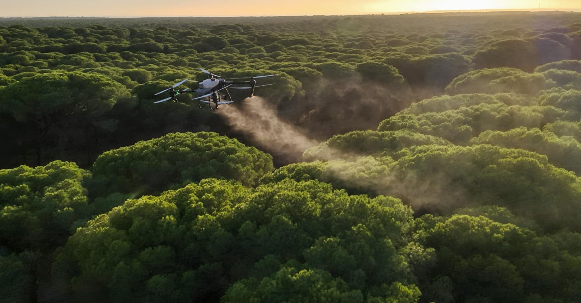 Vuelo dron fumigaciones
