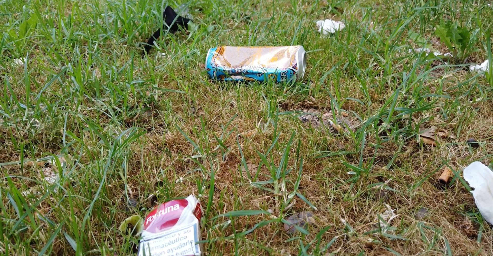 WhatsApp Image 2021-10-21 at 17.53.47