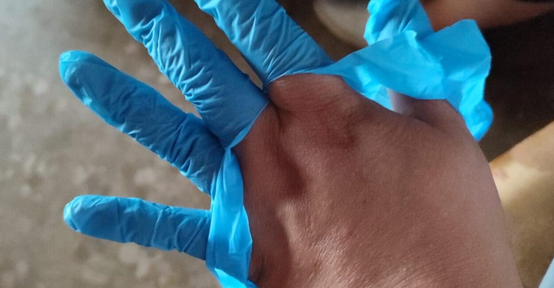 WhatsApp Image 2022-06-16 at 12.00.34 PM