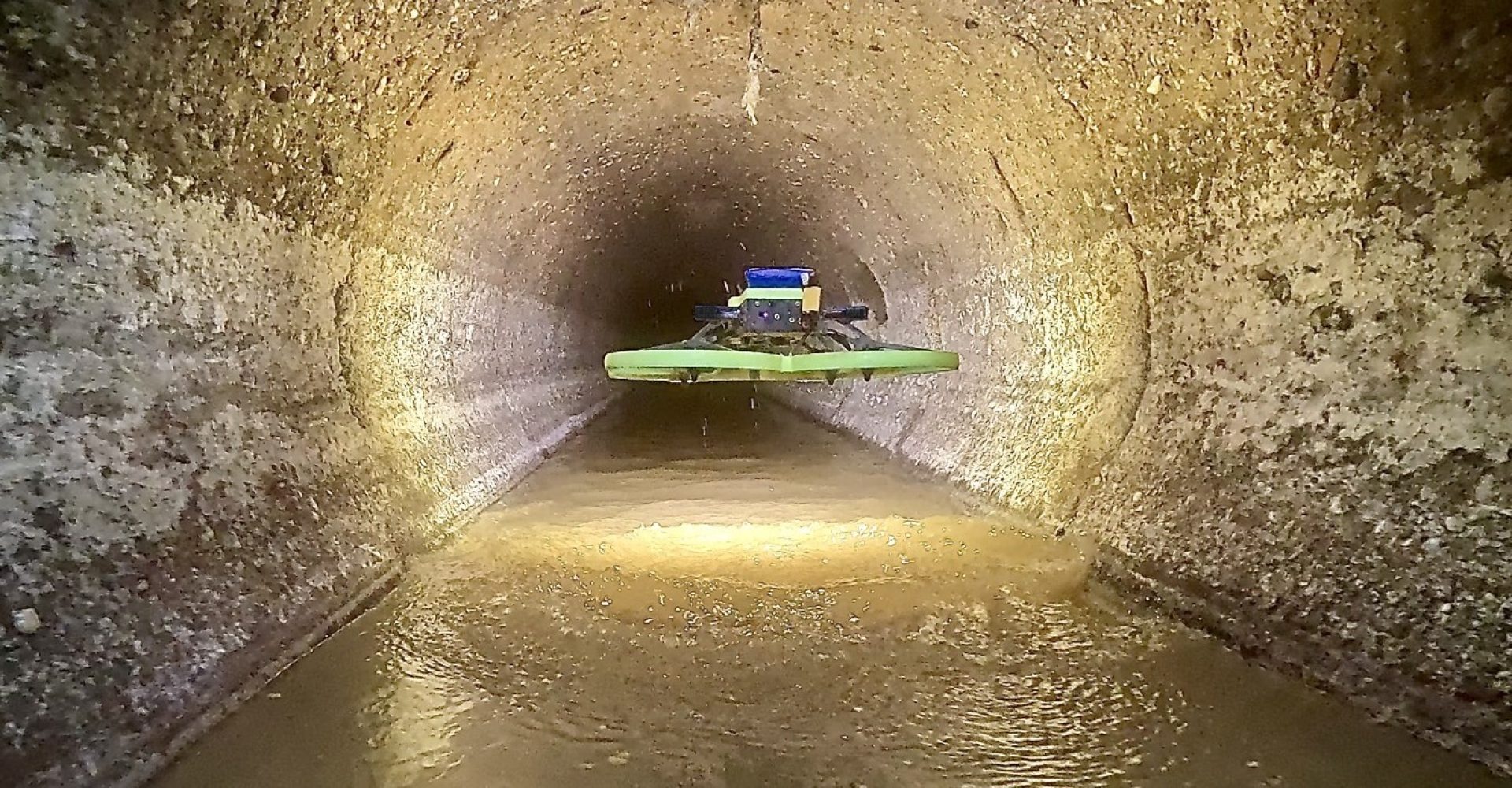 WhatsApp Image 2025-01-22 at 08.26.30