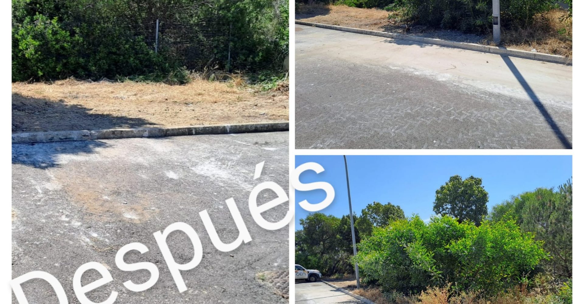 WhatsApp Image 2025-05-19 at 12.12.58