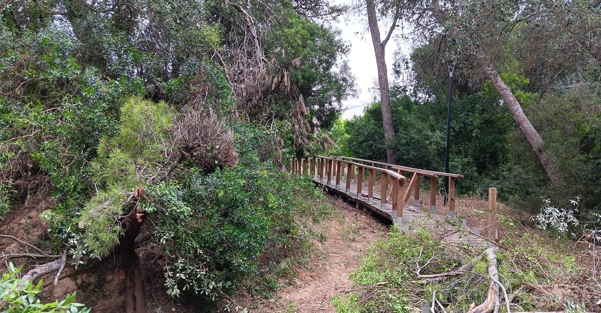 WhatsApp Image 2025-06-02 at 12.36.49