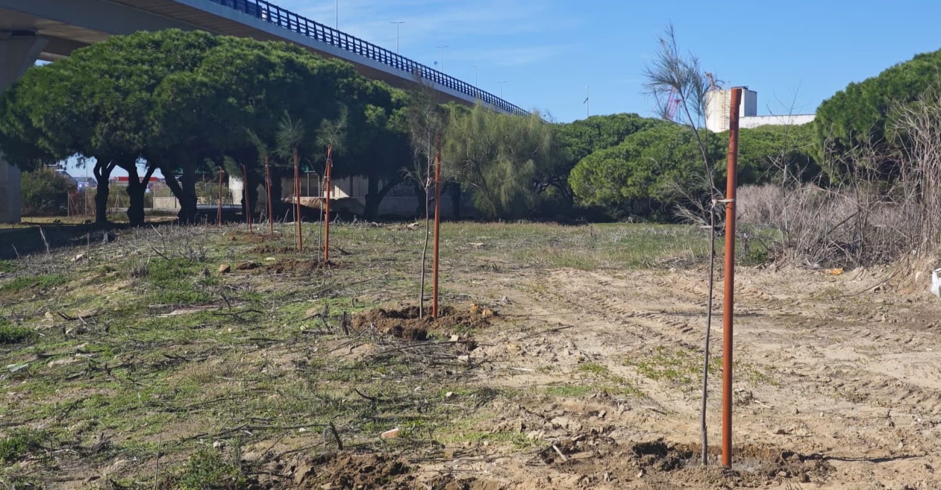 WhatsApp Image 2025-12-17 at 13.17.54