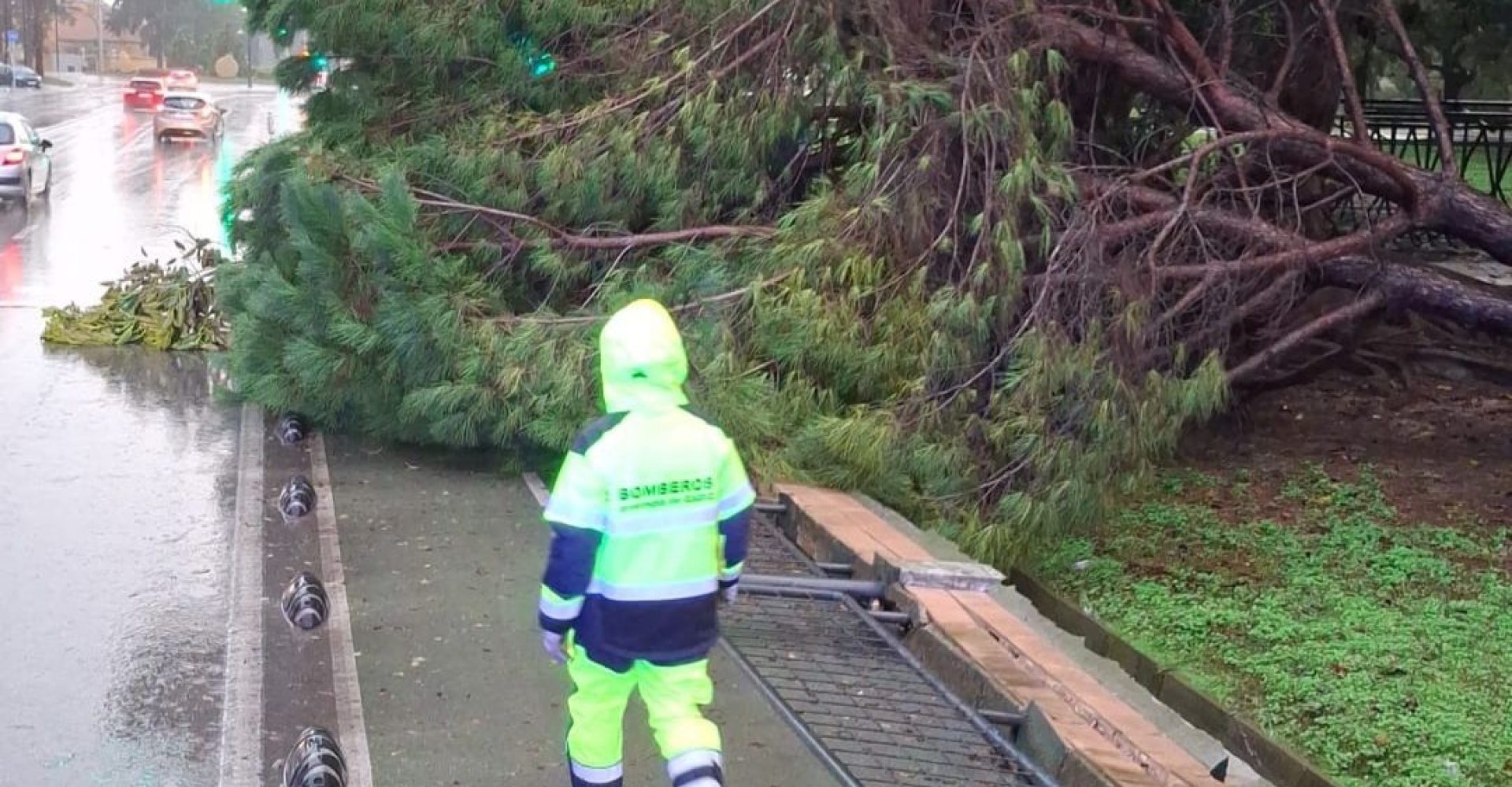 WhatsApp Image 2026-01-04 at 18.00.48