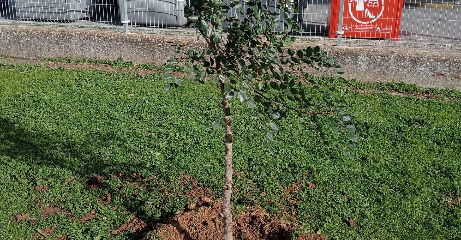 WhatsApp Image 2026-01-21 at 10.19.16 (3)