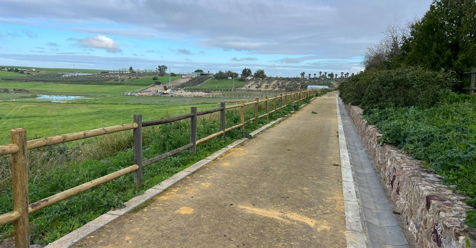 WhatsApp Image 2026-03-10 at 16.00.17