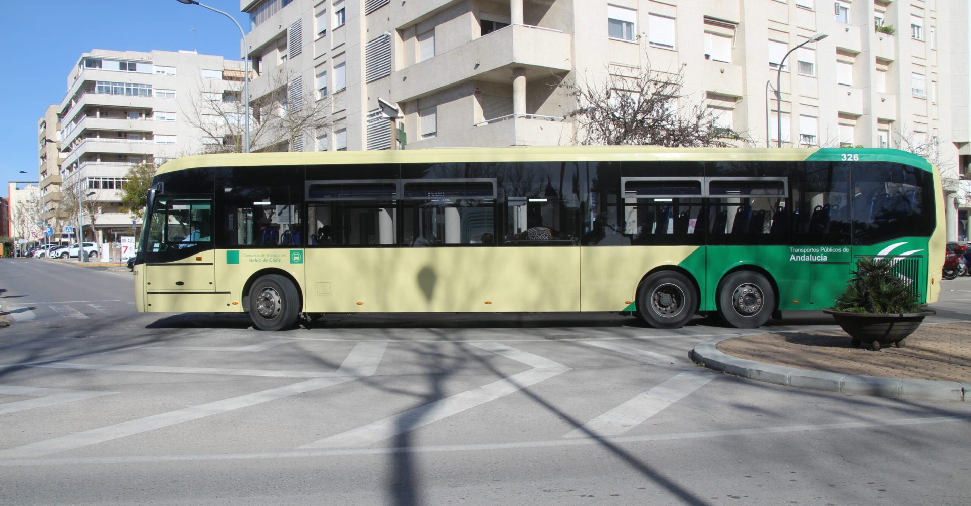 autobus consorcio