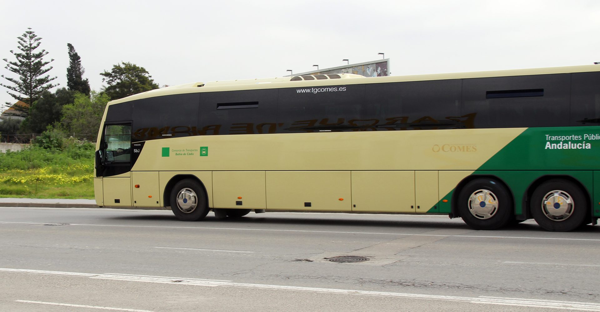 bus consorcio
