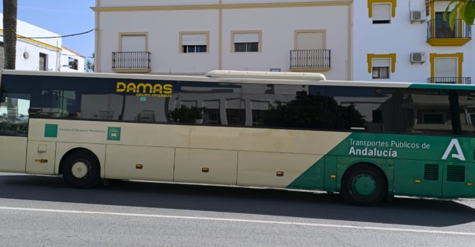 bus